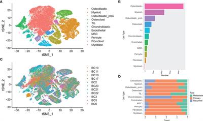 Identification of Cell Subpopulations and Interactive Signaling Pathways From a Single-Cell RNA Sequencing Dataset in Osteosarcoma: A Comprehensive Bioinformatics Analysis